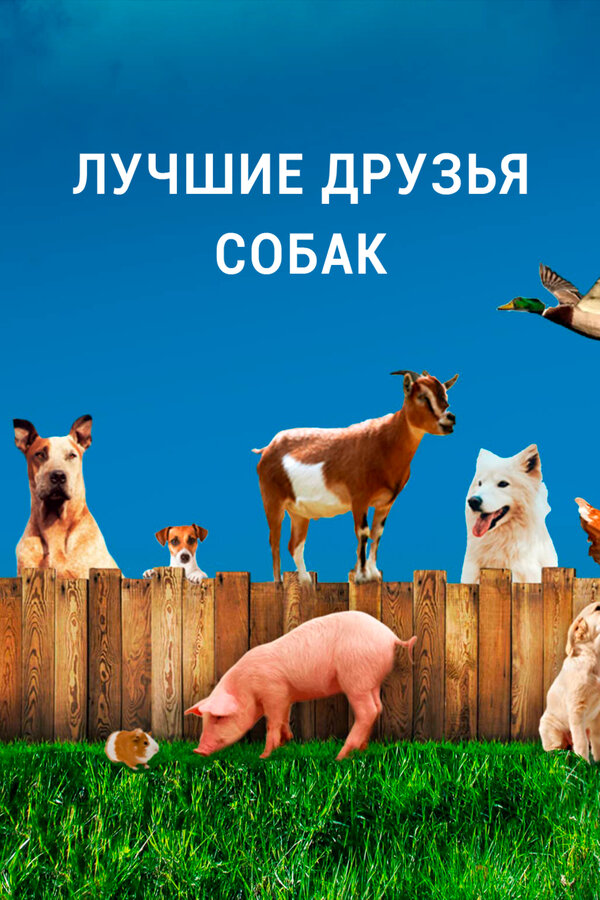 Лучшие друзья собак